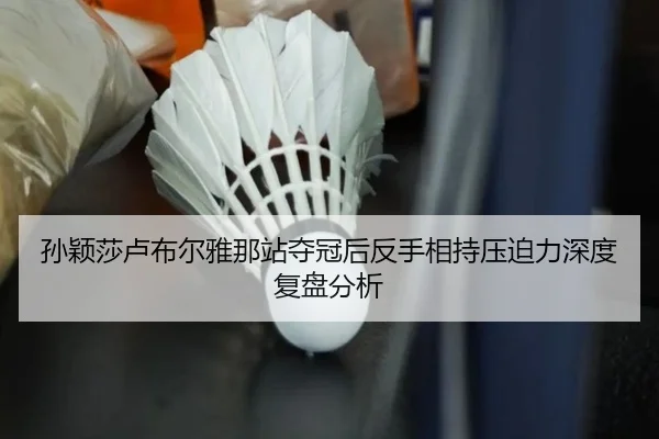 sun-ying-sha-lu-bu-er-ya-na-zhan-duo-guan-hou-fan-shou-xiang-chi-ya-po-li-shen-du-fu-pan-fen-xi-2-714.jpg